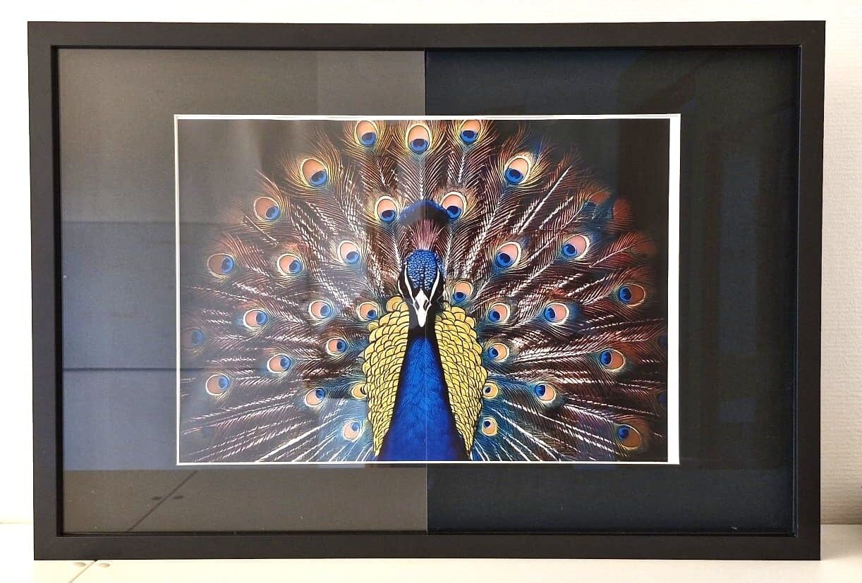 JM Optic WaterWhite - 40x50 cm